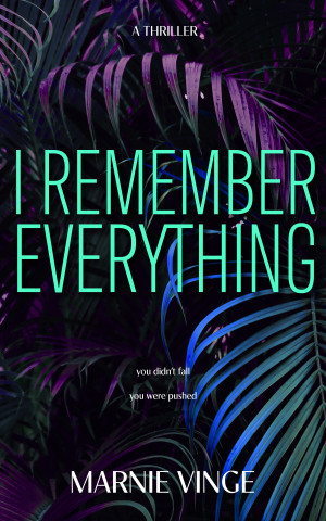 I Remember Everything: a dark and twisty psychological thriller (Dark and Twisty Psychological Thrillers)